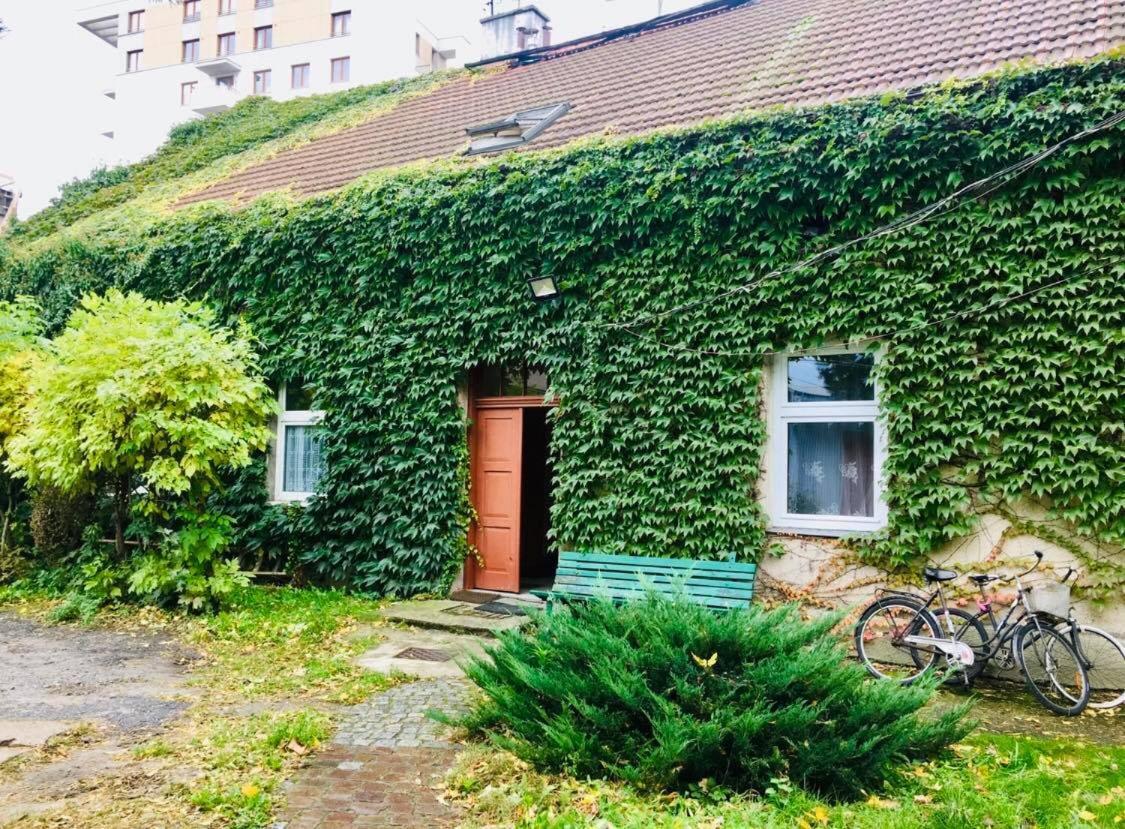 In Ivy Covered House, Near Old Town Kraków